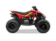 CFMOTO CFORCE 110 Vermelho